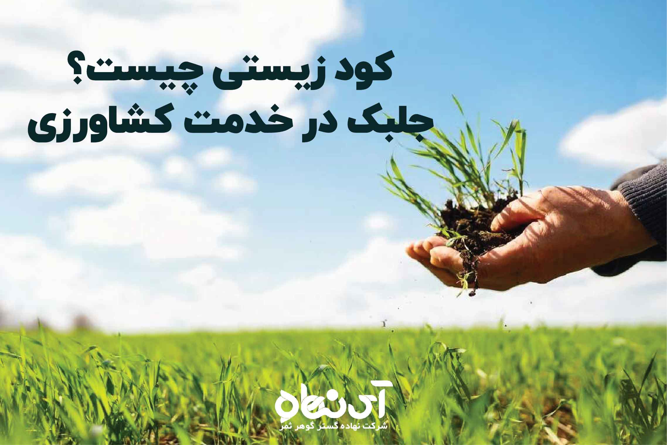 کود زیستی چیست، جلبک در خدمت کشاورزی